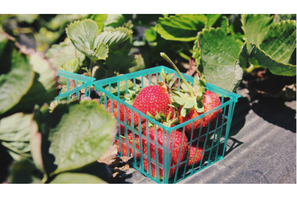 Deneme Blog Yazısı