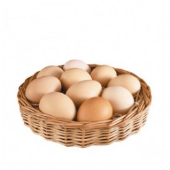  Omuz Bağlama Halka Kemer Tulum