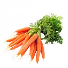  Omuz Bağlama Halka Kemer Tulum