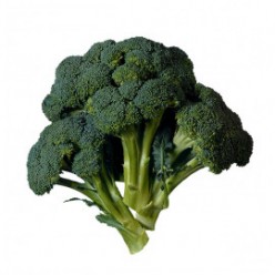  Omuz Bağlama Halka Kemer Tulum